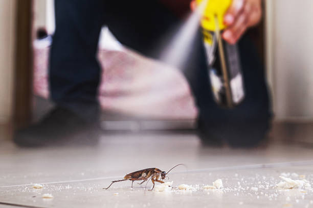 Best Emergency Pest Control  in Junction City, KY